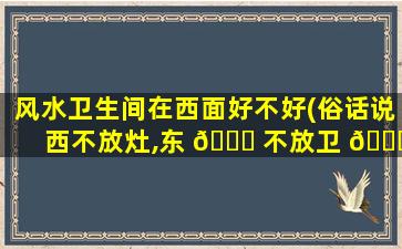 风水卫生间在西面好不好(俗话说西不放灶,东 🕊 不放卫 🐛 )